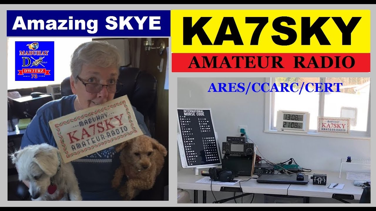 You tube amateur dog are mistaken Congratulate, you tube amateur dog