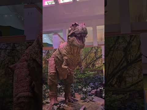 tyrannosaurus rex