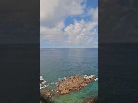 Vista do mirante do Farol da Barra #salvador #salvadorba #viagem #bahia #travel #faroldabarra