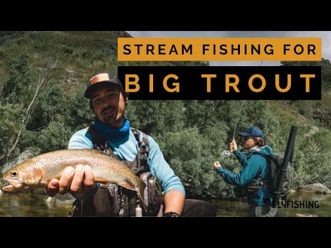 Fly Fishing Small Streams For Big Trout (A Fly Fisher's Guide)