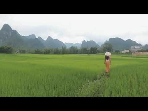 Tobu, Bonalt & Hadi - Find Myself (ft. Tom Mårtensson) (Musical Audio Master-No Copyright Music)