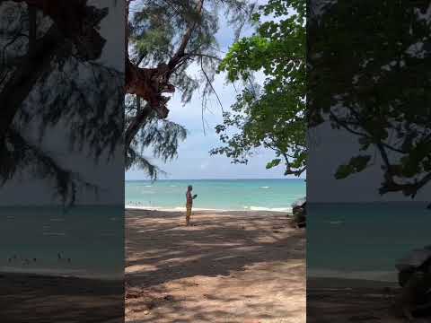 Sirinat National Park in Phuket Thailand