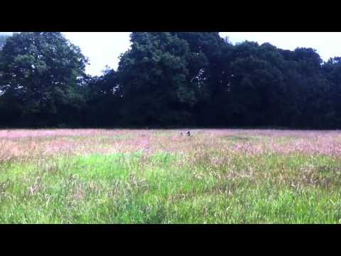 Now you see us, now you don't