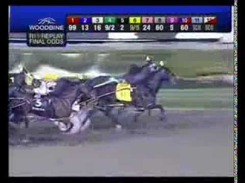 Betterthancheddar   Breeders Crown 3yo Final