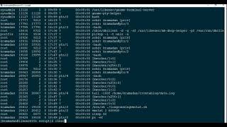 Belajar Linux Part 08 : Monitoring and Crontab