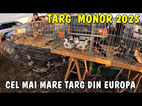 Viața la țară - Târgul de păsări și animale de la MONOR - Ungaria luna Martie 2025