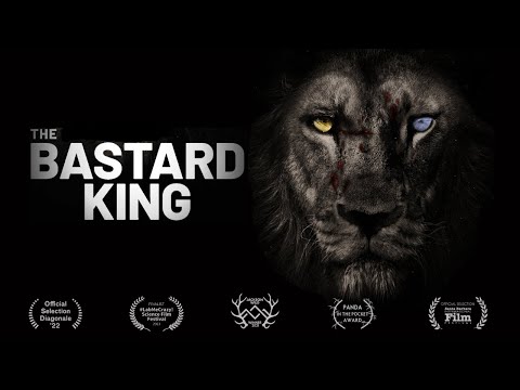 Born to Rule: How a Lone Lion Conquered a Kingdom | Award-winning Wildlife Film