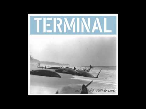 Terminal / 05 The Economy Is Useless...... (Snippet) / And Still A Few Waves To Come / 2012