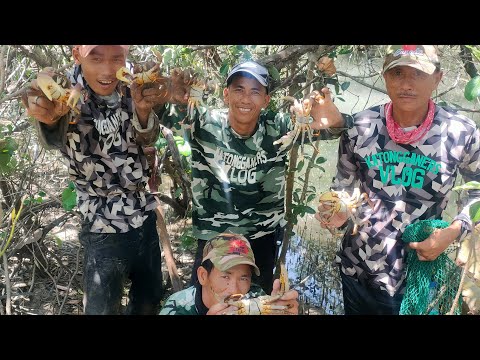 EP242:PART1-NATAGPUAN NA NAMIN ANG BAHAY NG MGA KURAY(LAND CRAB)