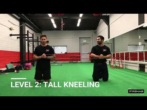 Partner Core Workout Series - Modified Partner Pallof Press