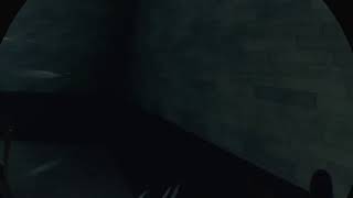 ［ps4]the walking dead ウォーキングデッド　VR　実況