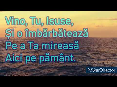 Pe marea vietii valuri se ridica Negativ crestin cu versuri