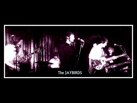 THE JAYBIRDS - KING LONELY THE BLUE