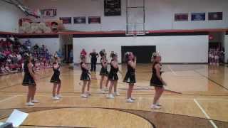 preview picture of video 'Wythe Co Cheermania 2012'