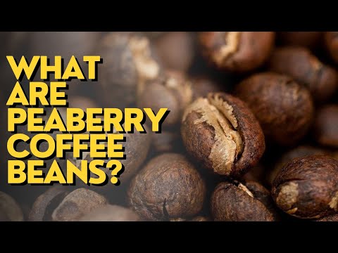 What Are Peaberry Coffee Beans?