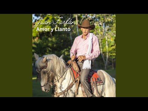 Llanero Vuelve a tu Llano