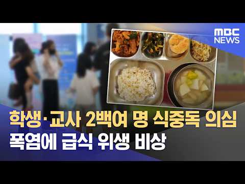급식 먹은 초등학생 200명 넘게 배탈 나서 학교 못 왔어요