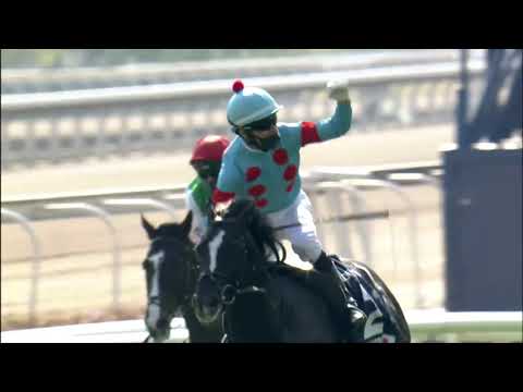 12/12/2021 (246) Glory Vase グローリーヴェイズ -  J Moreira (G1, The Longines Hong Kong Vase)