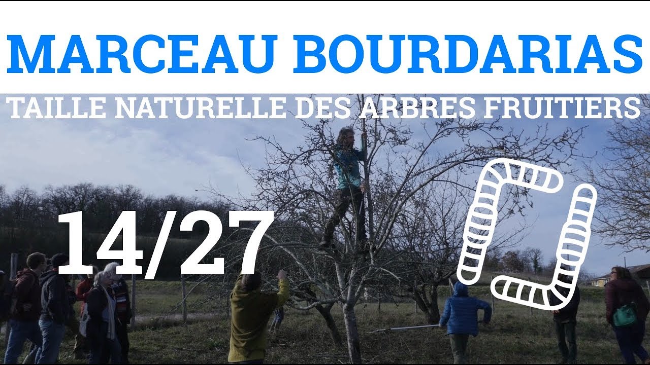 14/27 - M.BOURDARIAS - Taille Naturelle des Arbres Fruitiers - Développement et Choix