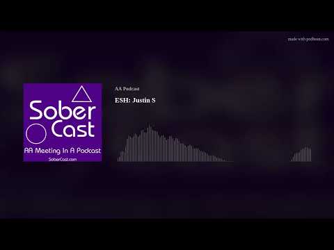 ESH: Justin S - AA Speaker