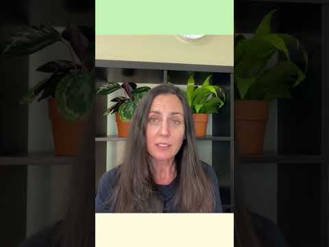 What Is Penile Pain? #penilepain #pelvicpt #pelvicpain