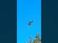 Sky Search: POLICE Helicopter on the Lookout #helicopter #sky #police #policia #search #wow #cops