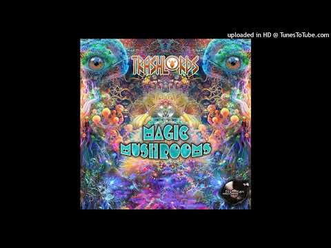 Trashlords - The Stoneage Once Again