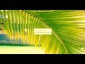 Ошибка В CrossFire X-trap 
