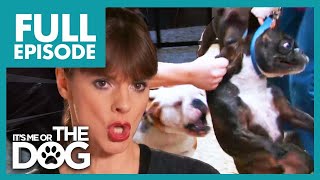 Thumbnail del capítulo