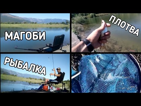 МАГОБИ РЫБАЛКА / ЛОВЛЯ КРУПНОЙ ПЛОТВЫ / ФИДЕРНАЯ ЛОВЛЯ /