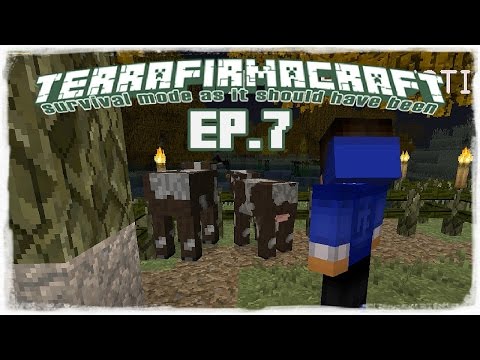 MINECRAFT TerraFirmaCraft - Episode 7 - Schwerter und Forstarbeit