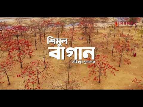 Shimul Bagan | শিমুল বাগান সুনামগঞ্জ | Shimul Bagan drone view |  পাখির চোখে শিমুল বাগান