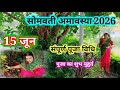 सोमवती अमावस्या सरल पूजा विधि उस दिन 2 �