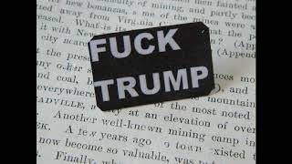 Evergreen Terrace - Mad world