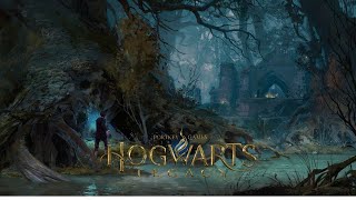 HOGWARTS LEGACY Contra tus huecos agíto la varita #HogwartsLegacy #gameplay #streaming