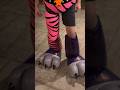 Part 15 Building Glamrock Bonnie Fnaf Bonnie Fnafsb Cosplay 3dprinting Animatronics
