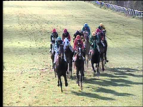 Galoppo 09/03/2016 - 5° corsa