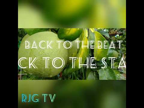 Bact To The Beat Back To The Start Remix