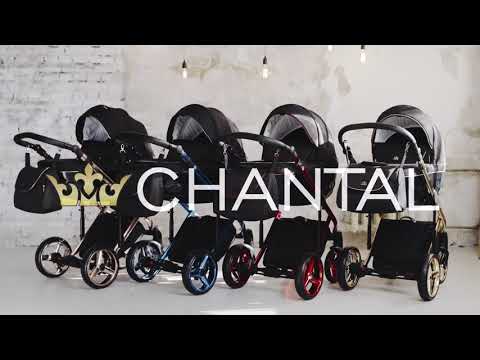 фото коляска adamex chantal special edition 2в1 0