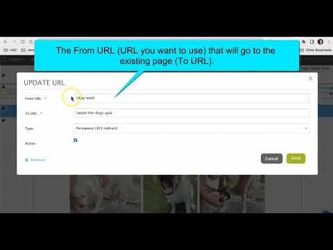 YouTube video