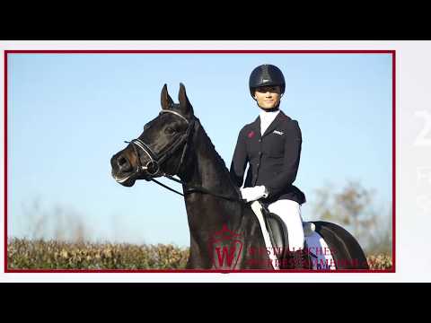 27 Feine Deern Stute v. Fürsten-Look -  Samarant