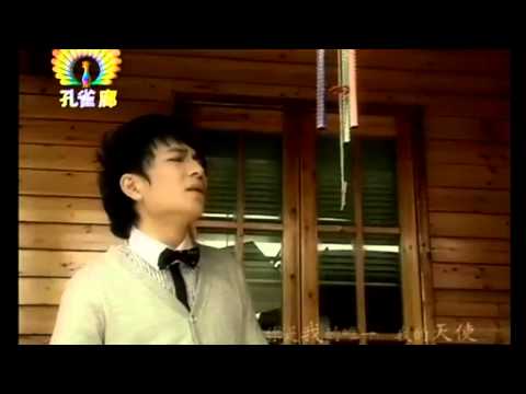 欢子 - 如果能再感动你多一次 MV