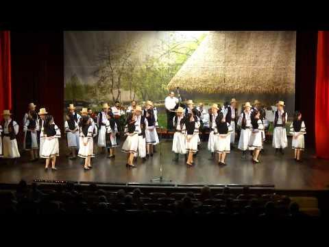 Ansamblul folcloric studentesc "Martisorul"