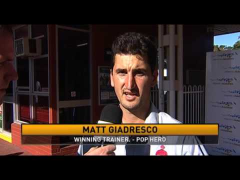 Belmont Park, 11/05/2016 - Race 4 - POP HERO - Matt Giadresco & Jason Whiting