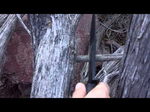 Cold Steel Leatherneck VS Ka Bar pt 1.