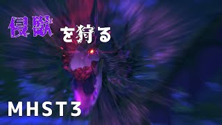 【モンハンストーリーズ3】侵獣をぶっ飛ばしに行く