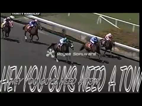 Zenyatta...greatest of all time!!