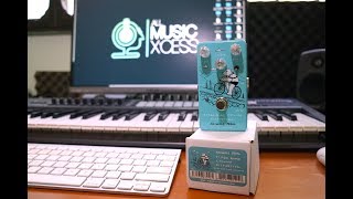 Video thumbnail for Animals Pedal Tioga Road Cycling Distortion | Jay Stringers Music Solutions | by All Music X'cess AMX