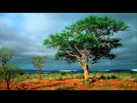 Zhemaitis - Memory Tree (Days Off Remix)