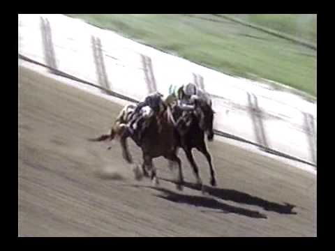 1989 Mother Goose Stakes - Open Mind